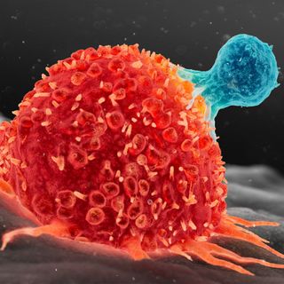 Scientists Found a Way to Supercharge Cancer-Fighting Cells