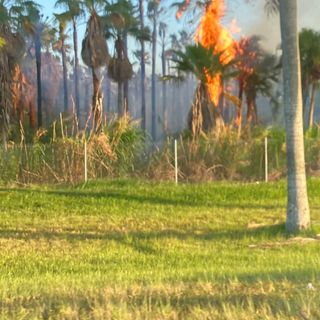 Grassfire Off of Turnpike, Wildfire Season is Underway