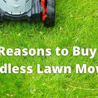 Should I Buy a Cordless Lawn Mower | Reasons why you should