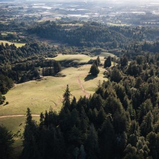 ‘A treasure’: Land trust preserves 839-acre property with redwoods and panoramic ocean views south of Silicon Valley