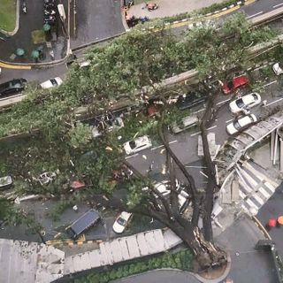 One dead, another injured as tree falls in KL city centre