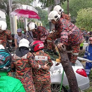 Swedish woman also injured by fallen tree in KL city centre