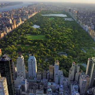 White woman who called police on a black man bird-watching in Central Park has been fired | CNN