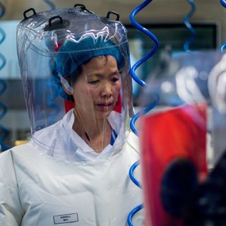 China’s ‘bat woman’ researcher warns coronavirus is just ‘tip of iceberg’