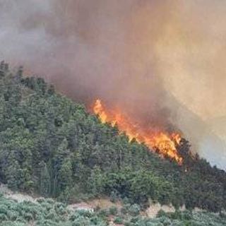 Devastating pictures from Uttarakhand forest fires over last four days⁠— forests burn as North India becomes the world’s warmest region