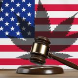 Cannabis Stocks Rise as DOJ Moves to Reclassify Marijuana as a Less Dangerous Drug