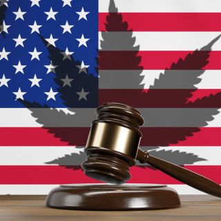 Cannabis Stocks Rise as DOJ Moves to Reclassify Marijuana as a Less Dangerous Drug