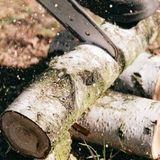 Best 14 inch Electric Chainsaw - Best Chainsaws UK