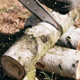 Best 14 inch Electric Chainsaw - Best Chainsaws UK