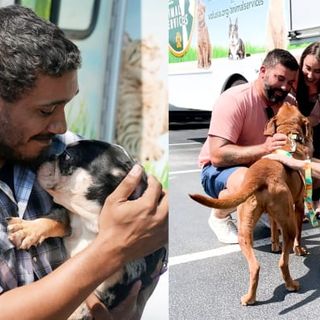 Deputies adopt 3 dogs rescued during Volusia animal cruelty investigation