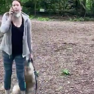 Amy Cooper's Former Dog-Walkers Identified Her | Law & Crime