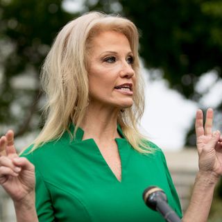 Kellyanne Conway Voted By Mail — But She Thinks You Should Have To Wait In Line