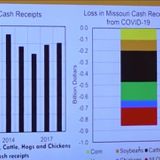 Economist estimates Missouri’s agriculture industry is taking an $850 million hit from COVID-19