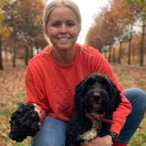 Trainee sniffer dog finds Tasmanian farm's biggest truffle on record - ABC News