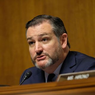 Ted Cruz calls for criminal investigation of Twitter