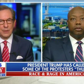 Fox News Host Chris Wallace Confronts GOP Sen. Tim Scott With ‘Vicious’ Trump Tweets