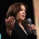 Why Has Kamala Harris's Campaign Fizzled?