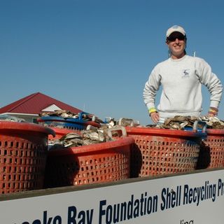 Chesapeake Bay Foundation reminds Virginia to recycle oyster shells