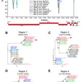 Emergence of SARS-CoV-2 through recombination and strong purifying selection