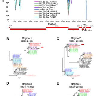 Emergence of SARS-CoV-2 through recombination and strong purifying selection