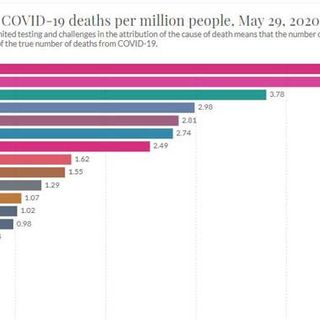 Sweden launches inquiry into handling of pandemic as death rate becomes highest in the world