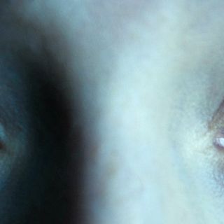 Scientists Have Found a Woman Whose Eyes Have a Whole New Type of Colour Receptor