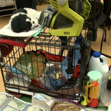 Humane Societies urging pet owners to prepare for emergencies as hurricane season begins