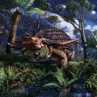 Armored dinosaur's last meal fossilized in stunning detail