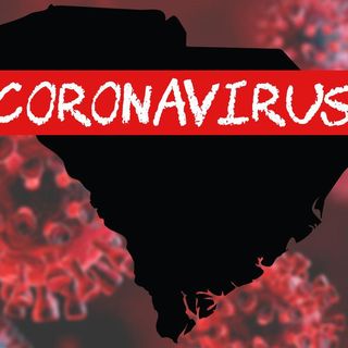 SC health experts raise concern over coronavirus spread as 17 more people die