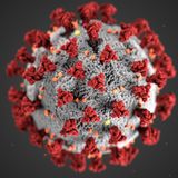 WHO says coronavirus is not mutating, but that doesn't mean it is not dangerous