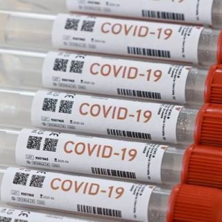 Texas A&M ready to mass produce future COVID-19 vaccine