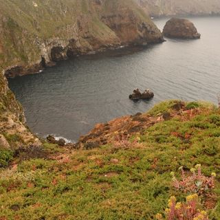 Which California national parks are open and closed? Here's the scoop