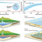 Thresholds of mangrove survival under rapid sea level rise