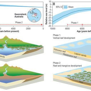 Thresholds of mangrove survival under rapid sea level rise