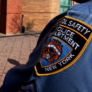 Advocates Renew Calls to Remove NYPD from Public Schools