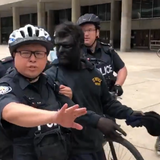 Man arrested after attending Toronto anti-Black racism protest in blackface: police | Globalnews.ca