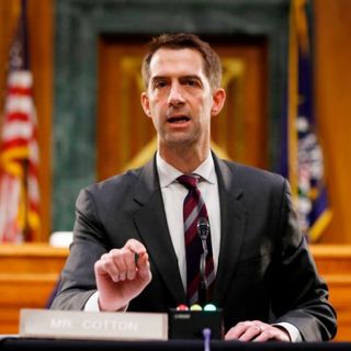 Tom Cotton is 'setting himself up to be the heir to Trumpism,' analyst says