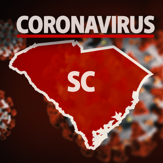 DHEC: 447 new COVID-19 cases in SC, 13,453 total