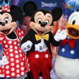 Disney World employees say they were inappropriately touched by tourists