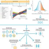 Quantification of the pace of biological aging in humans through a blood test, the DunedinPoAm DNA methylation algorithm