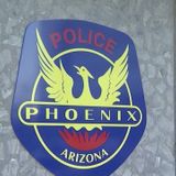 Phoenix Police to suspend carotid control technique training and use