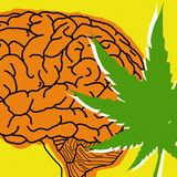 Scientists discover the reason why anxious people smoke marijuana