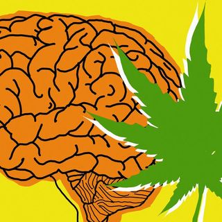 Scientists discover the reason why anxious people smoke marijuana