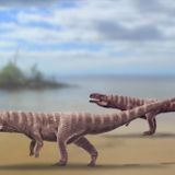 Researchers Stunned to Discover Ancient Crocodiles That Walked on Two Legs