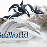 SeaWorld Orlando reopens with select days closed, new guidelines