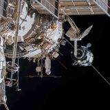 The International Space Station Just Became a Powerful Tool for Tracking Animal Migration