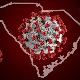 South Carolina sees highest daily reported COVID-19 cases with 770 on Friday