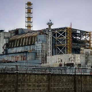 Chernobyl shocker as fungi that eats radiation found inside nuclear reactor