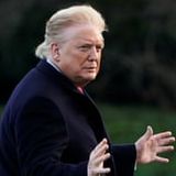 Trump cries fake news as image of dramatic orange tan line goes viral