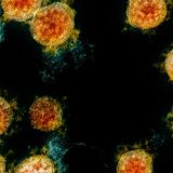 Dallas County reports record number of new coronavirus cases for third day in a row